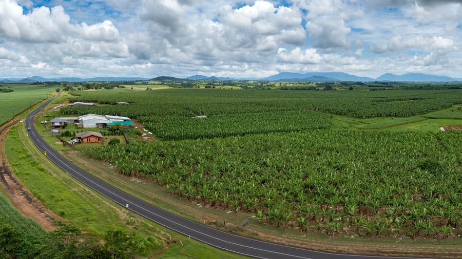 Aerial view of farmland and river flats at South Johnstone in Far North Queensland